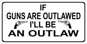 Custom Photo License Plate - Personalized Car Tag with Your Picture - Perfect for Gifts, Car Shows & Unique Vehicle Accessories