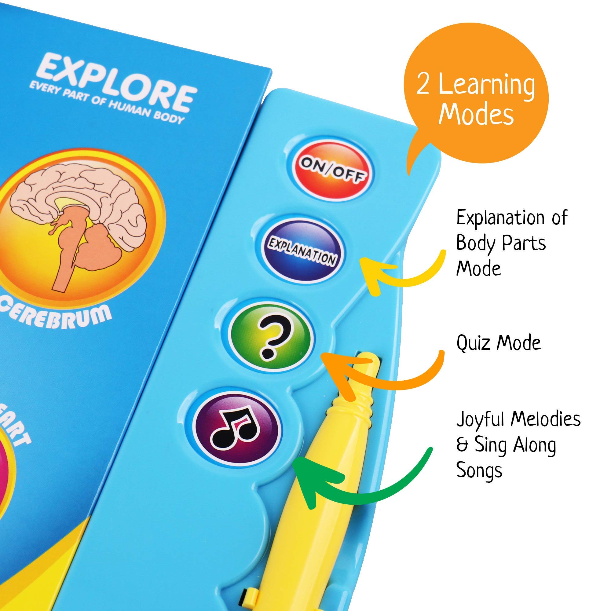 Boxiki Kids Human Body Book - Educational Science Activity Book for Ages 3+ | Perfect for Homeschool Learning & Preschool STEM Toys