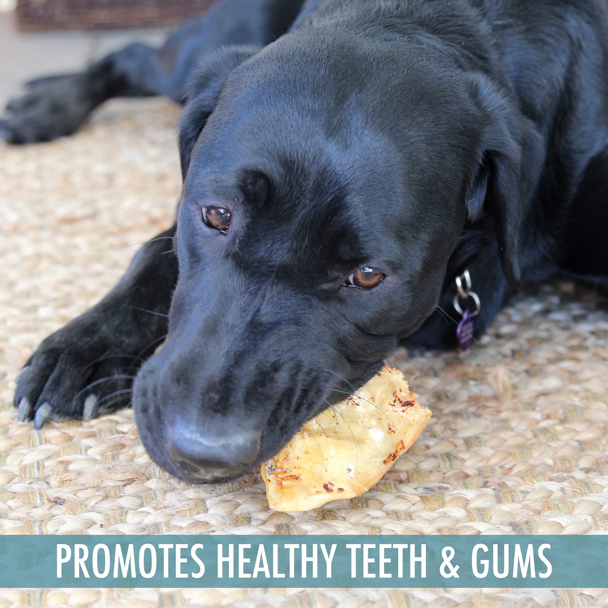 All Natural Water Buffalo Dusted Ear Dog Chews - 20 Piece Value Pack | Grain Free Dog Treats | Healthy Alternative to Pig Ears & Rawhides | Perfect for Training, Teething & Dental Care