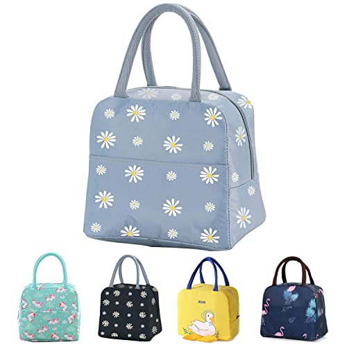Daisy Blue