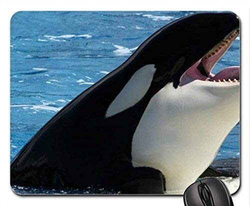 Premium Fish Themed Gaming Mouse Pad with Killer Whale Design - Non-Slip Waterproof Mousepad for PC & Laptop - Perfect for Gamers, Office & Home Use