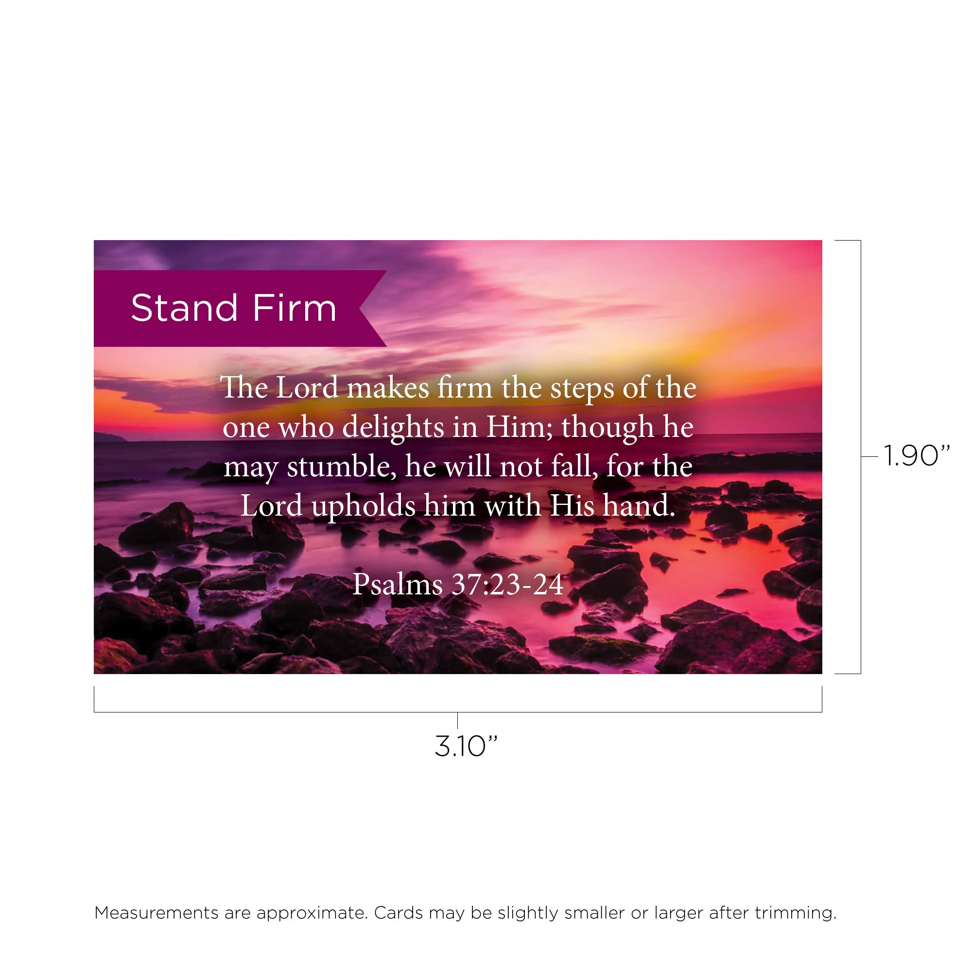 Stand Firm Scripture Cards - Psalm 37:23-24 - 25 Pack Bible Verse Cards for Devotion & Study - Christian Encouragement Gifts