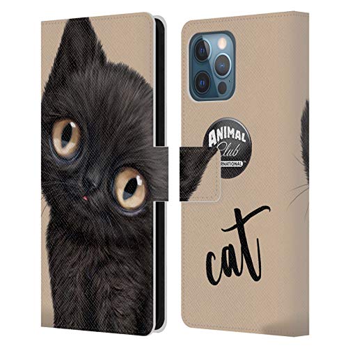 Black Cat