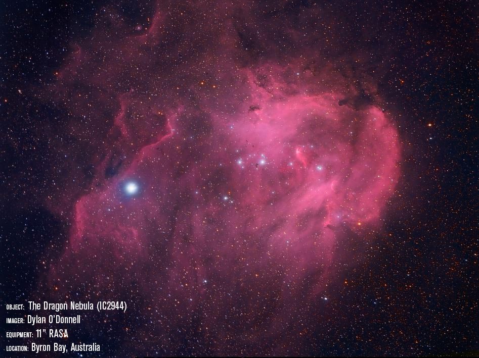 CGX 11 Rowe Ackermann Schmidt Astrograph (RASA) Equatorial Telescope - Professional Astrophotography Telescope for Deep Space Observation, Stargazing, and Celestial Photography