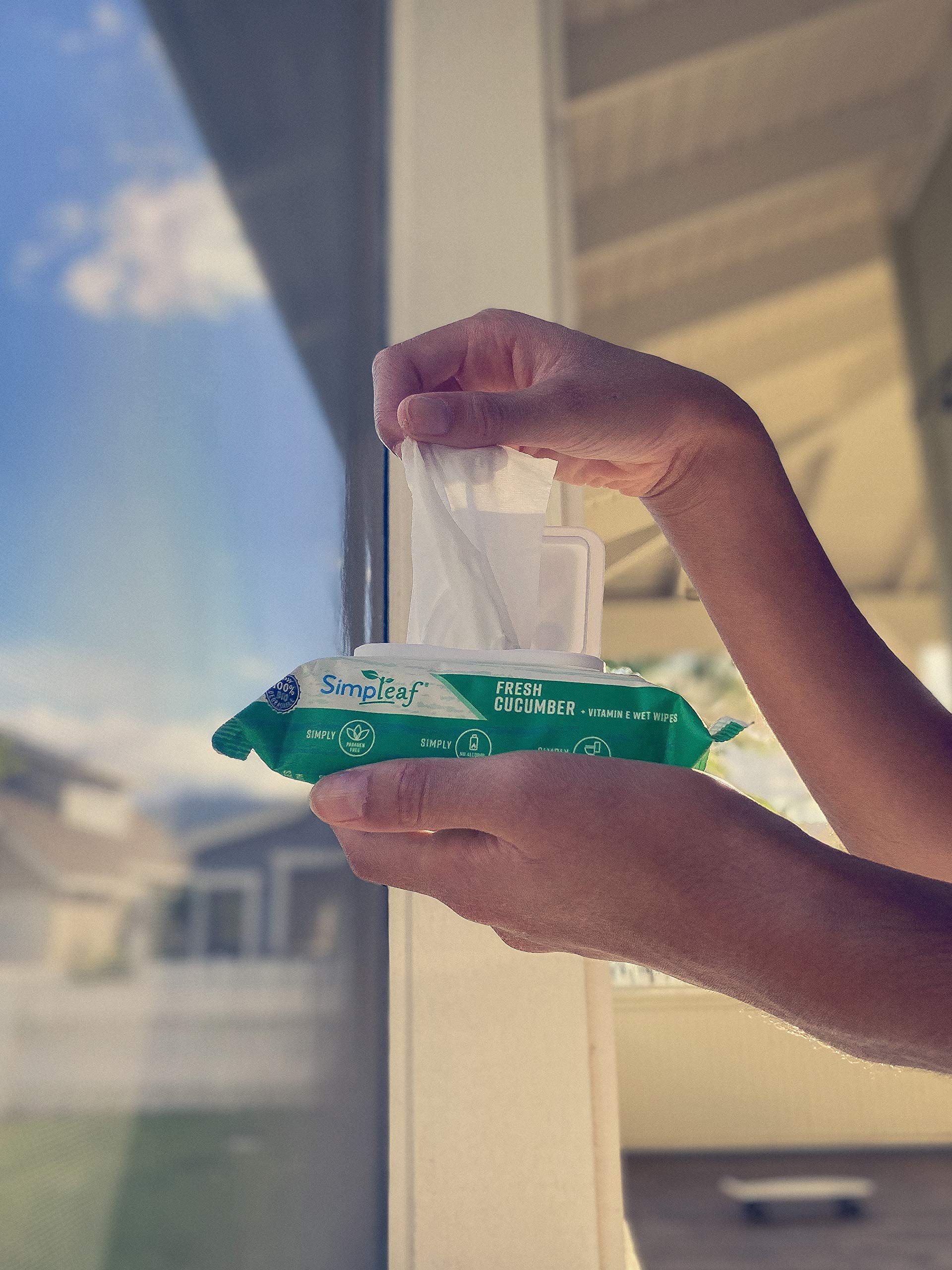 Flushable Wet Wipes Bulk Pack - Aloe Vera & Cucumber Scented Travel Size Wipes (60 Count + 6x25 Pack) | Gentle for Baby, Adult & Sensitive Skin | Perfect for Travel, Gym, Camping & On-The-Go Hygiene