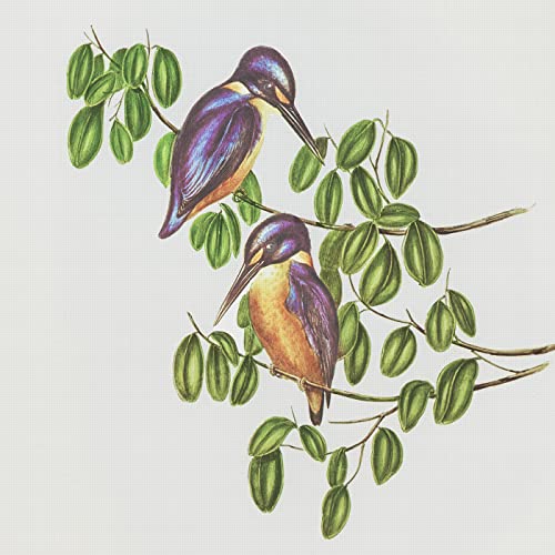 Azure Kingfisher Birds Naturalist John Gould Counted Cross Stitch Pattern