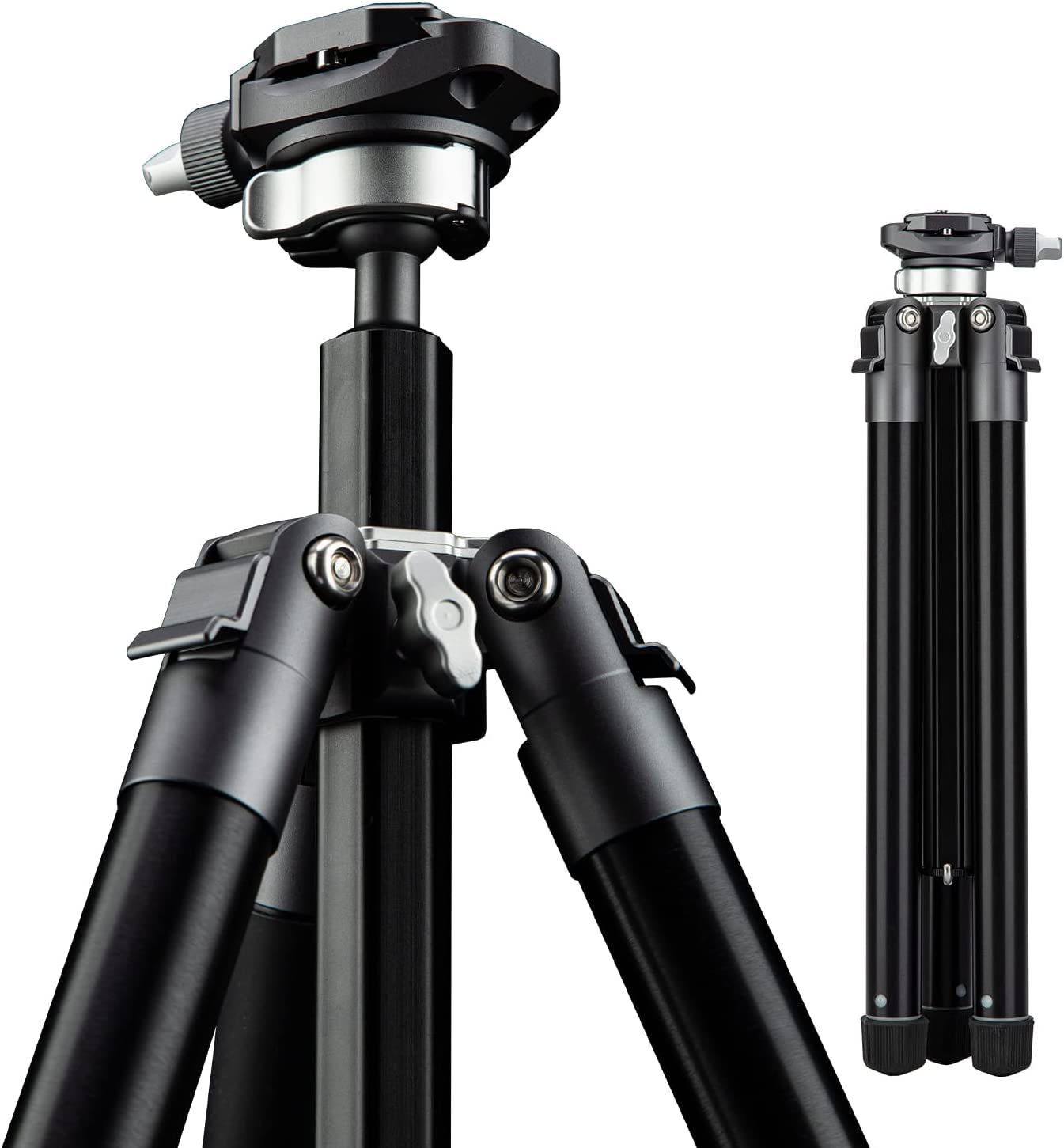 Fotopro 59