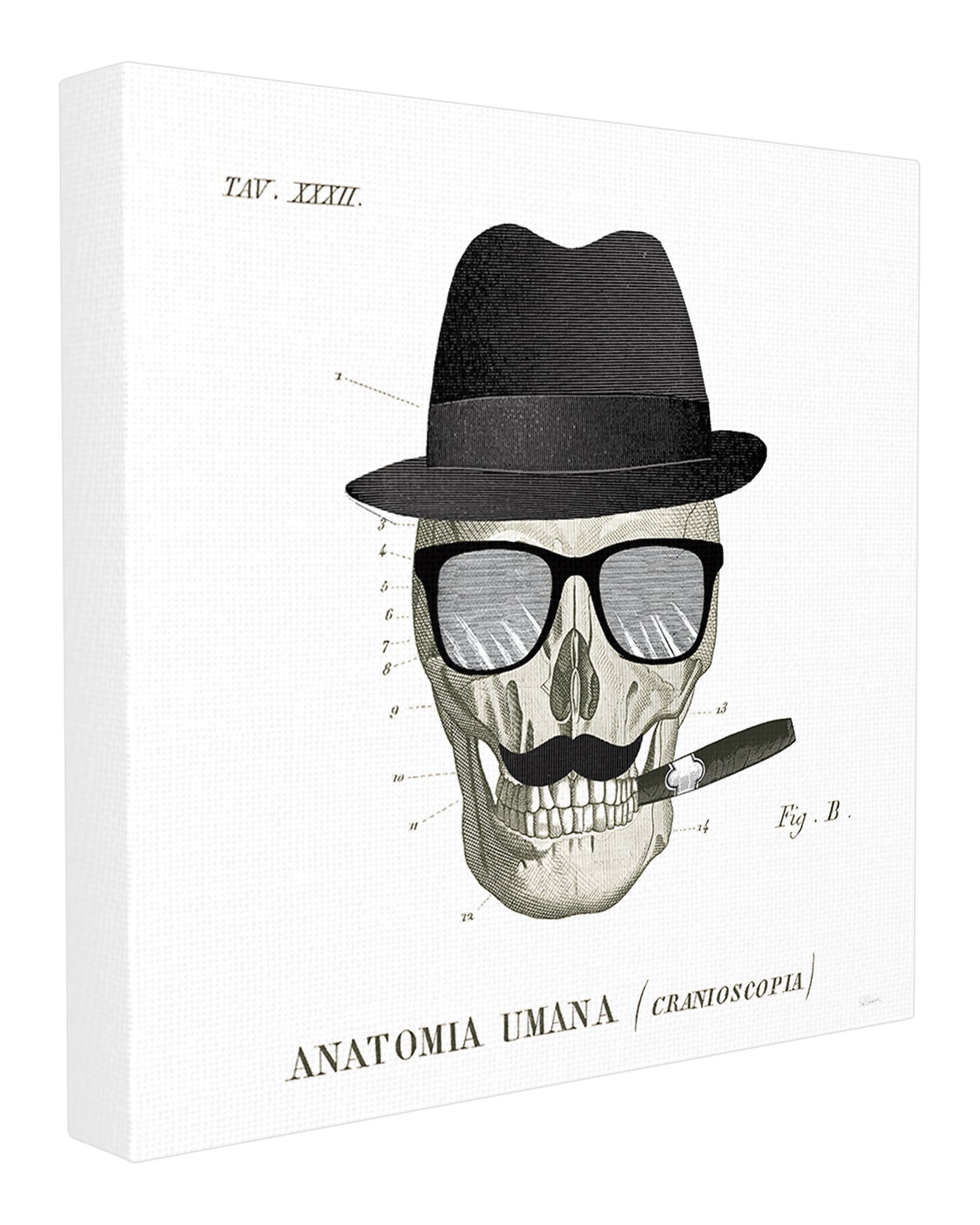 Stupell Dandy Bones Wall Art for Home Decor - Gothic & Boho Style
