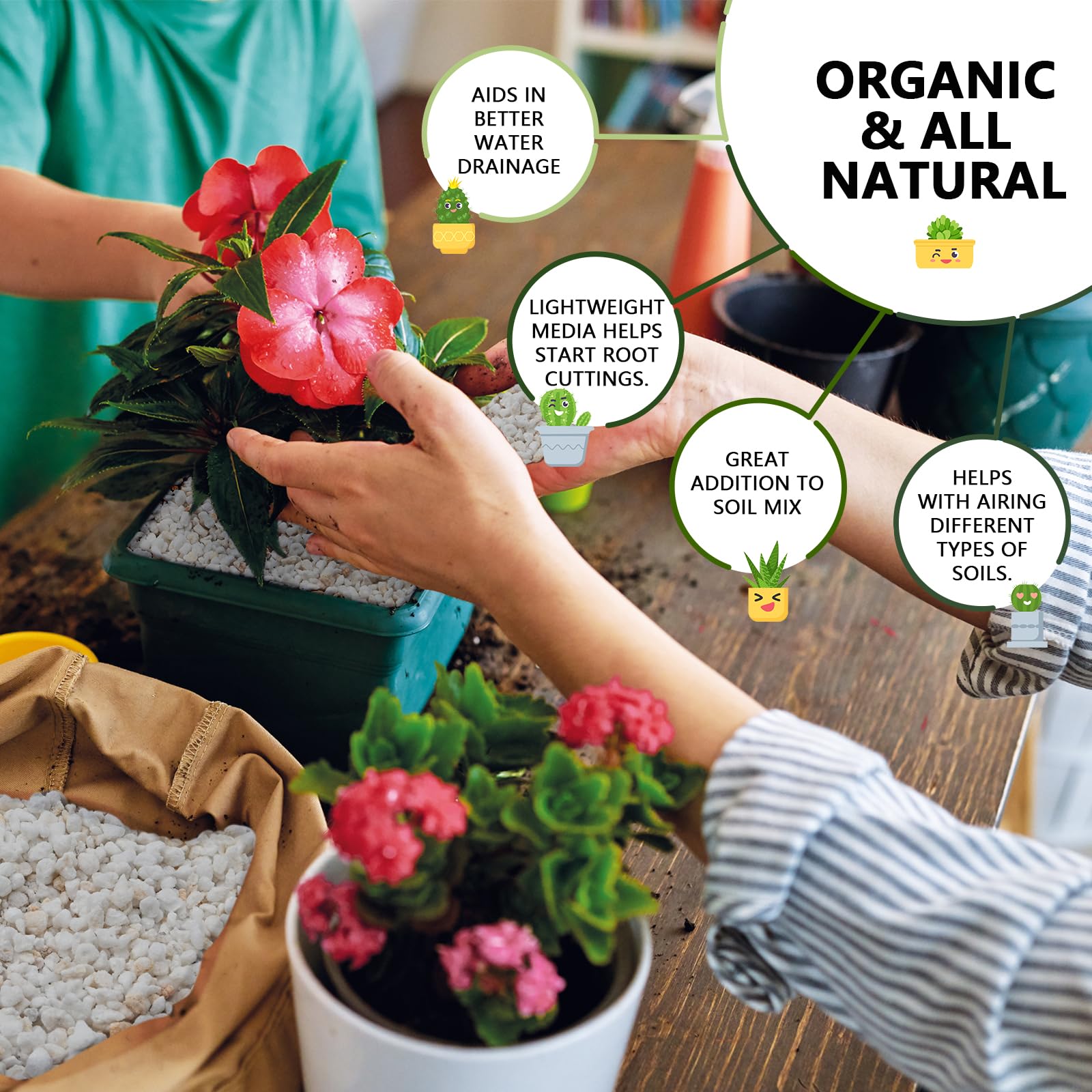 15QT Horticultural Perlite Bulk - Organic Perlite for Plants (3-6mm) | Course Perlite for Gardening, Indoor & Houseplants | Promotes Soil Aeration, Root Growth & Water Drainage | Perfect for Potting Mix, Hydroponics & Seed Starting