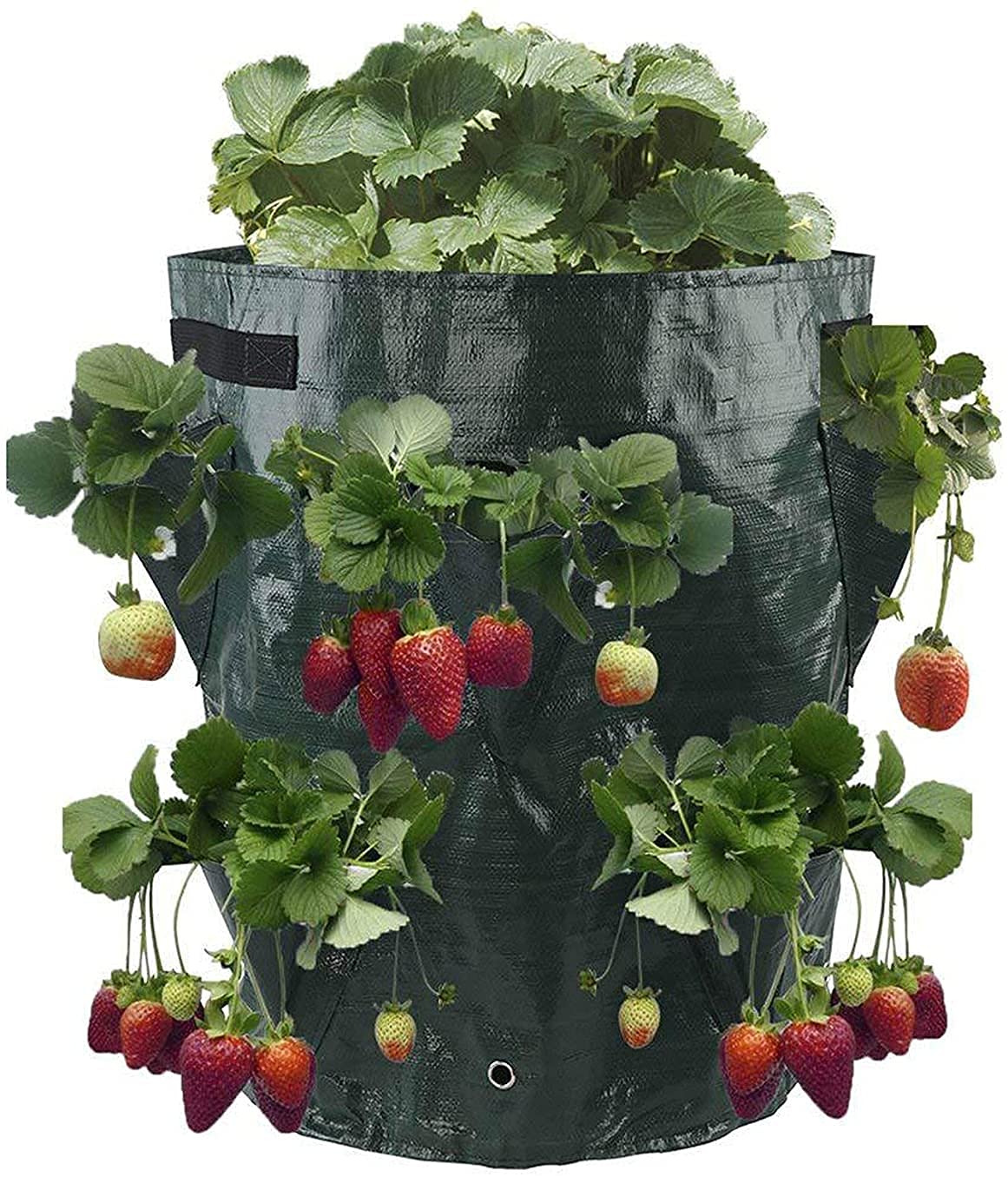Zheshitech 8-Pocket Grow Bags for Strawberries, Vegetables & Herbs - Breathable Planting Bags with Handles for Gardening, Balcony & Indoor Plants | Durable Multi-Mouth Container Bags for Flowers, Fruits & Home Gardening