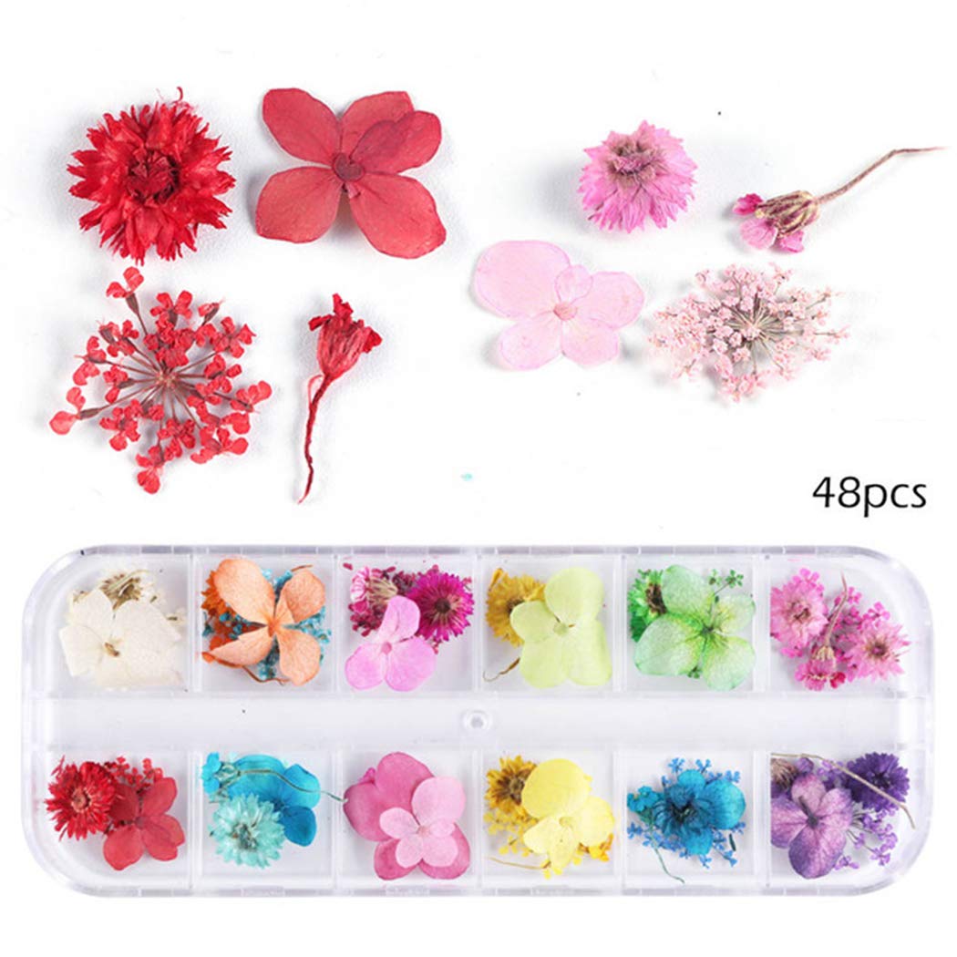 SOWUNO 12-Grid Dried Flower Nail Art Kit - Creative Nail Decoration with Assorted Dried Flowers for DIY Nail Designs - Perfect for Home, Salon & Party Nail Art