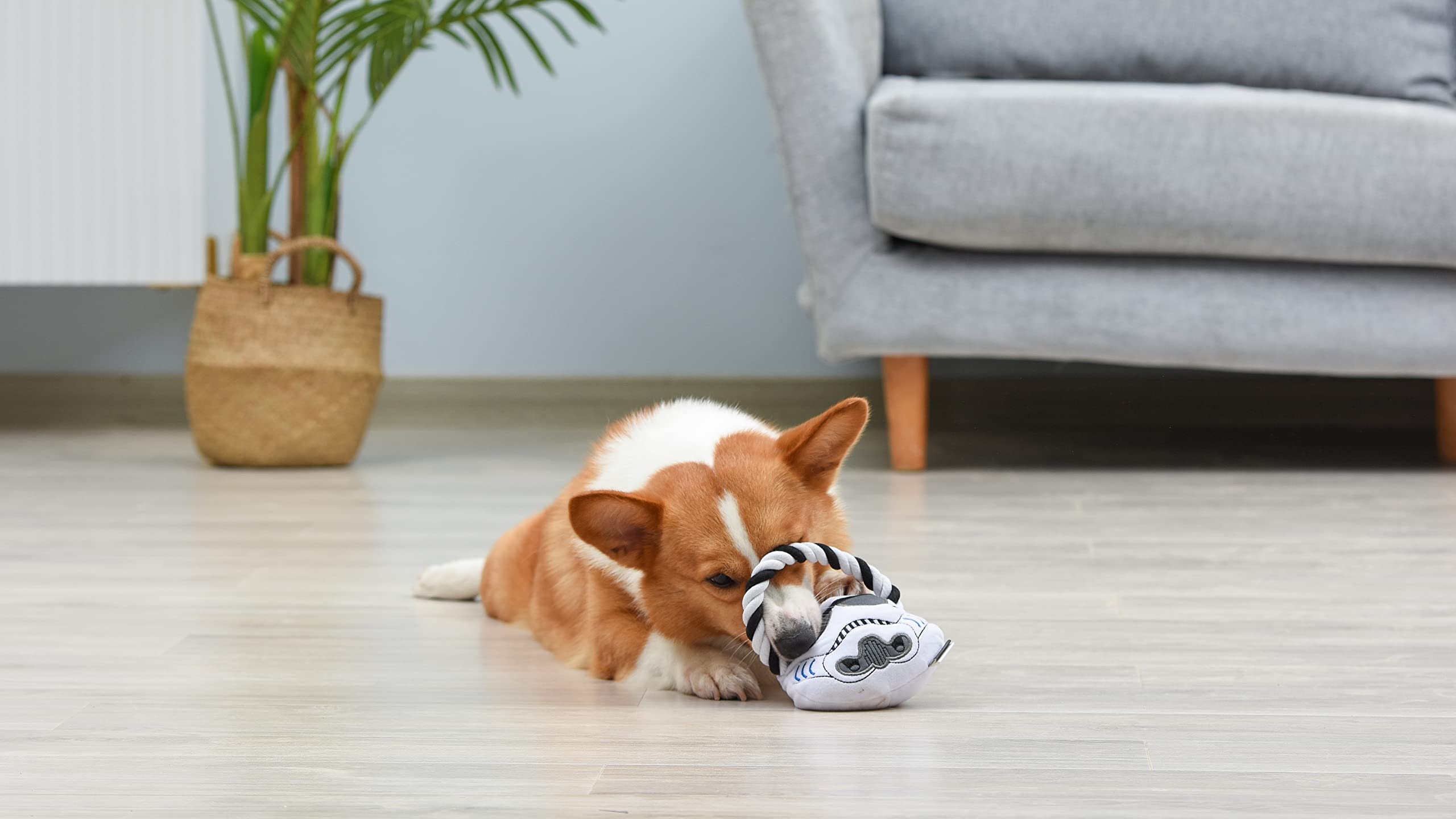 Star Wars Stormtrooper Rope Dog Toy with Plush Head - Durable Chew Toy for Dogs, Interactive Tug of War Pet Toy - Perfect for Playtime, Training & Star Wars Fans (FF19199) | Great for Indoor & Outdoor Fun