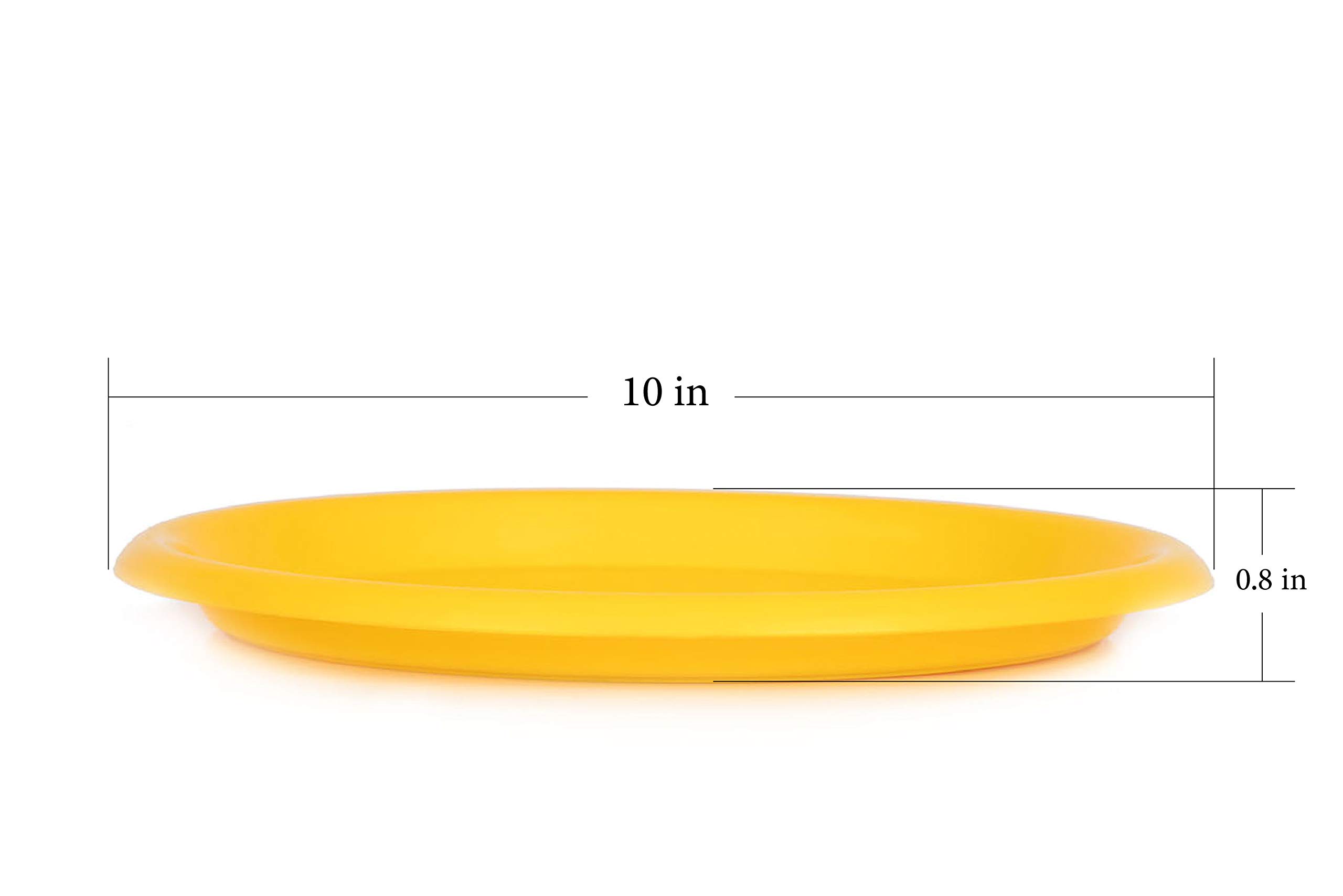 Mintra Home Reusable Plastic Plates - 12 Pack Large 8.5 Inch Yellow Plates for Parties, Picnics & Outdoor Dining | Durable & Eco-Friendly Dishware