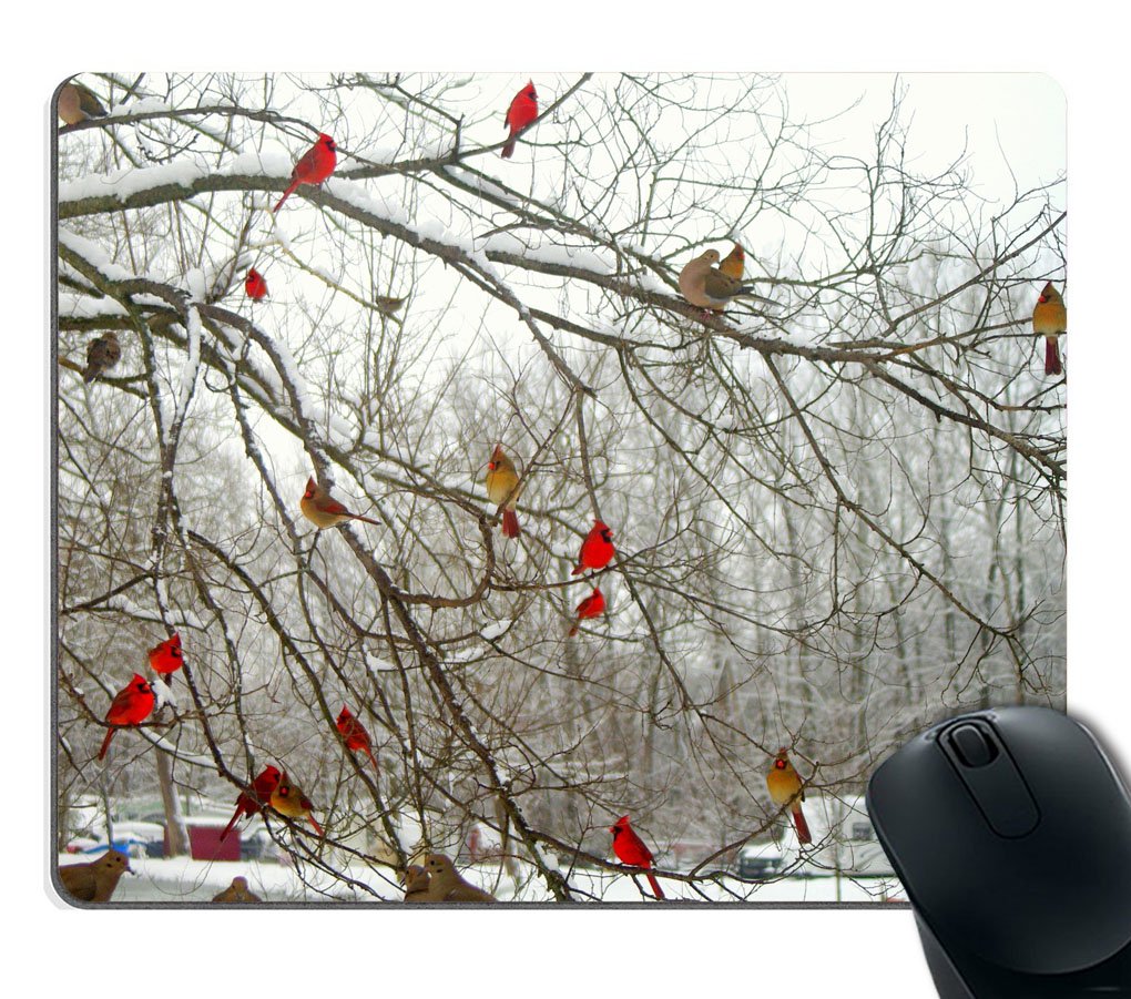 Custom Smooffly Gaming Mouse Pad - Winter Birch Trees & Cardinals Design, Non-Slip Rubber Base, Large Size for PC & Laptop - Perfect for Gaming, Office Work & Home Use