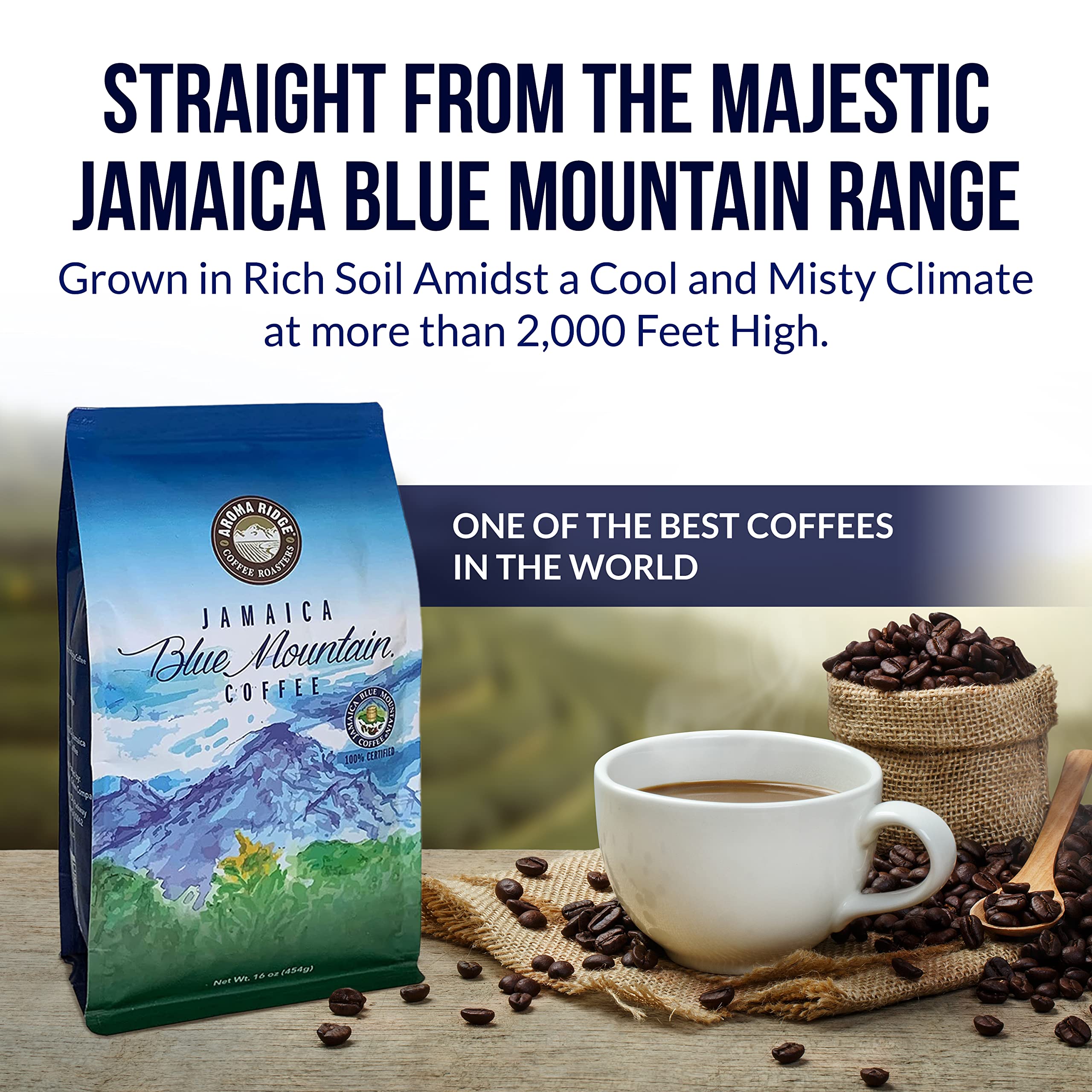 Premium Jamaica Blue Mountain Ground Coffee - 1 LB Medium Roast, 100% Authentic Wallenford Certified | Grade 01 with Smooth Milk Chocolate Finish | Perfect for Home Brewing, Office Use & Gourmet Gifts | Aroma Ridge Specialty Coffee