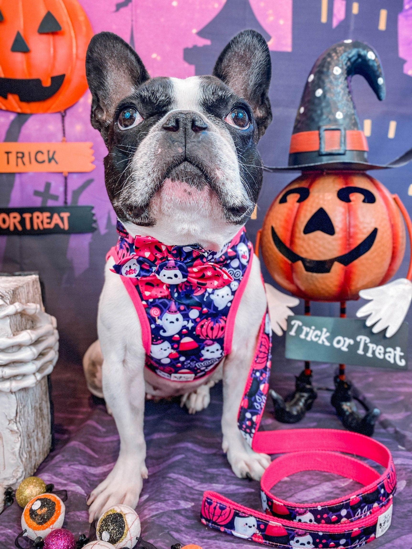 Halloween Dog Harness - Ghost & Haunted House Design | Spooky Pet Costume for Trick or Treating & Halloween Parties