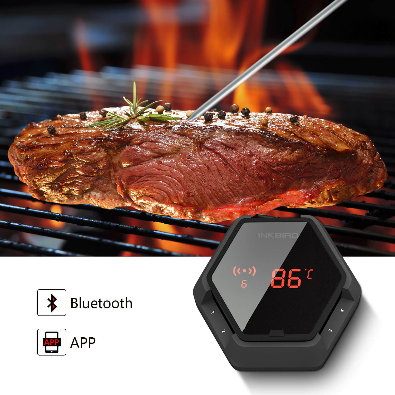 Wireless Bluetooth BBQ Thermometer IBT-6XS - Smart Meat Temperature Probe for Grilling, Smoking & Cooking
