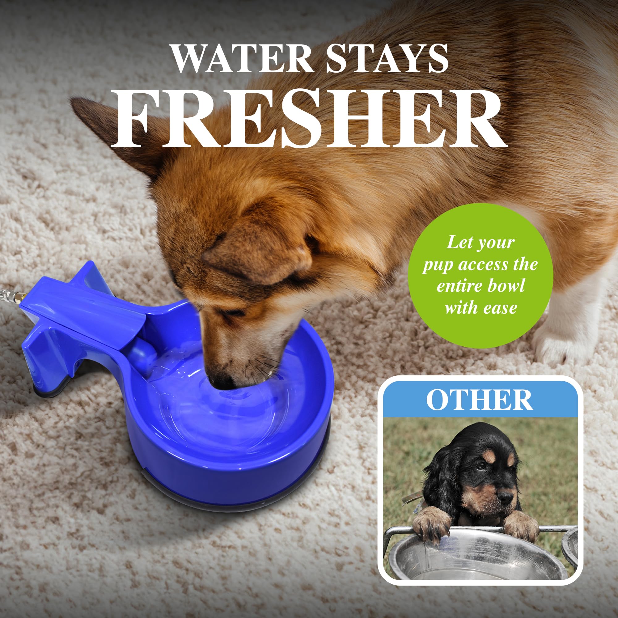 Stainless Steel Pet Water Bowl with 10ft Hose - Automatic Dog Cat Water Dispenser for Indoor Outdoor Use