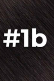 TP1B/BG