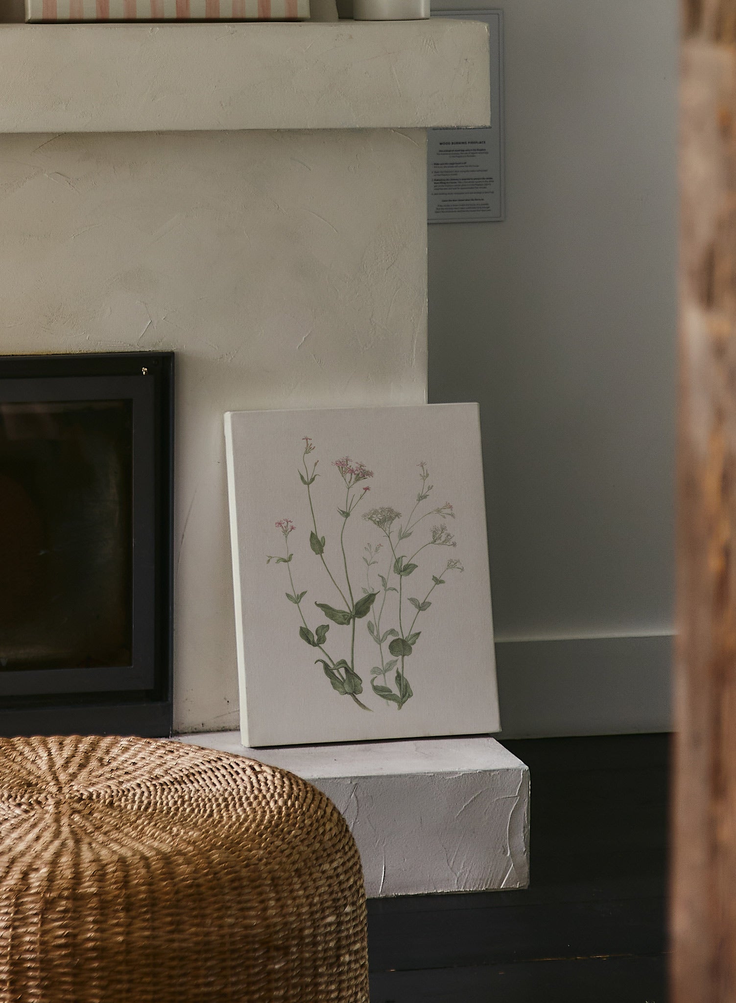 Senna & Catchfly Canvas Wall Art - Handmade Botanical Print for Home Decor, Living Room, Bedroom & Office