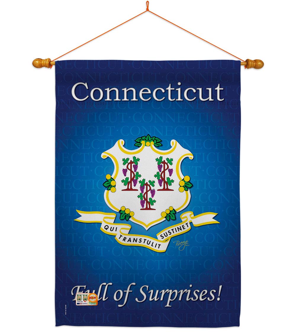 Connecticut Americana House Flag Set 28x40