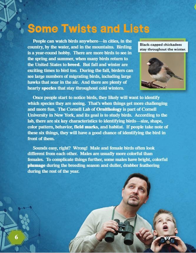 Fun and Games: The Wild World of Birding - Mastering Ratios for Real-World Math Skills | Perfect for Classroom Activities & Outdoor Learning