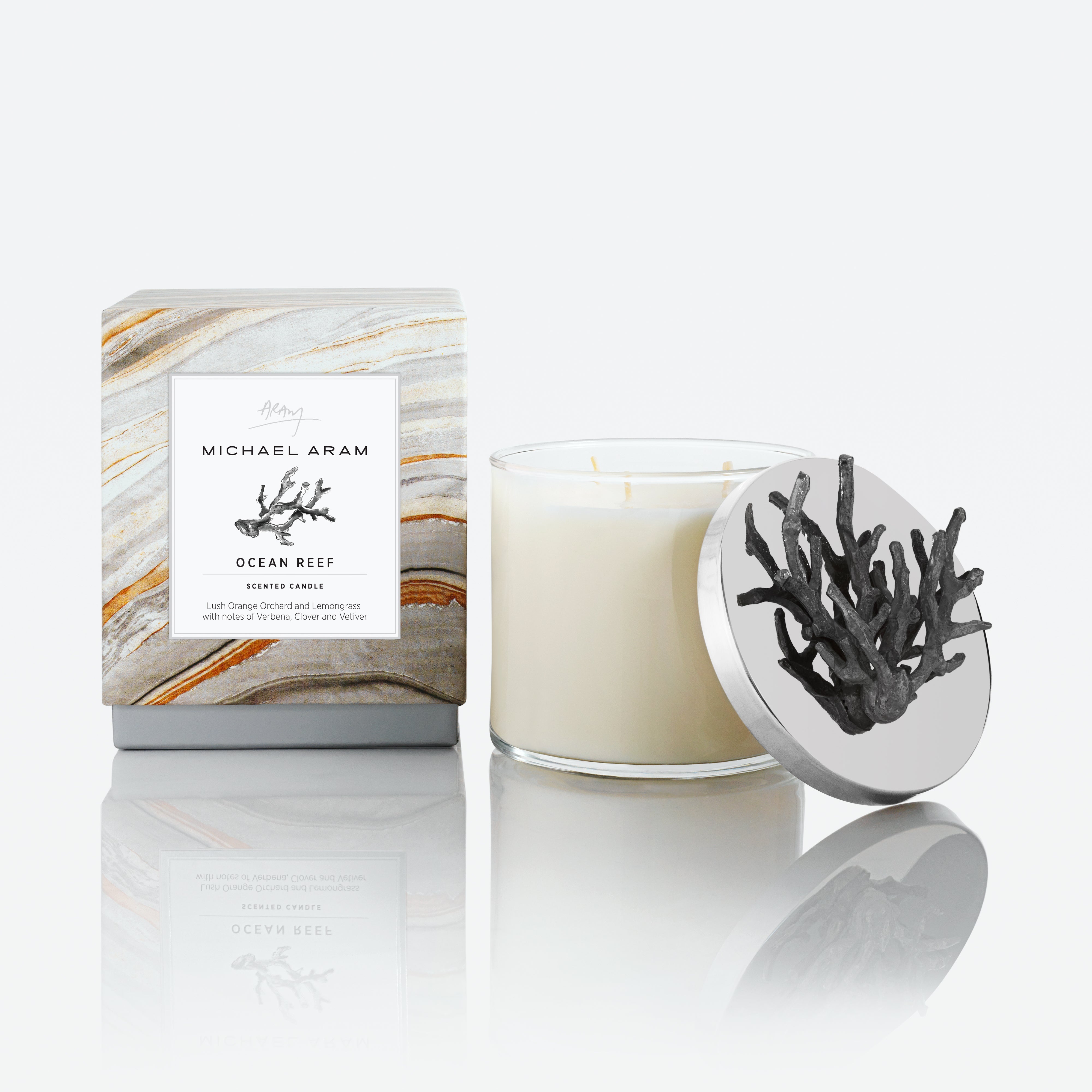 Ocean Reef Scented Soy Candle - Natural Coconut & Sea Salt Fragrance - Handmade Aromatherapy Candles for Relaxation, Meditation & Home Decor - Perfect for Bedroom, Bathroom & Living Room
