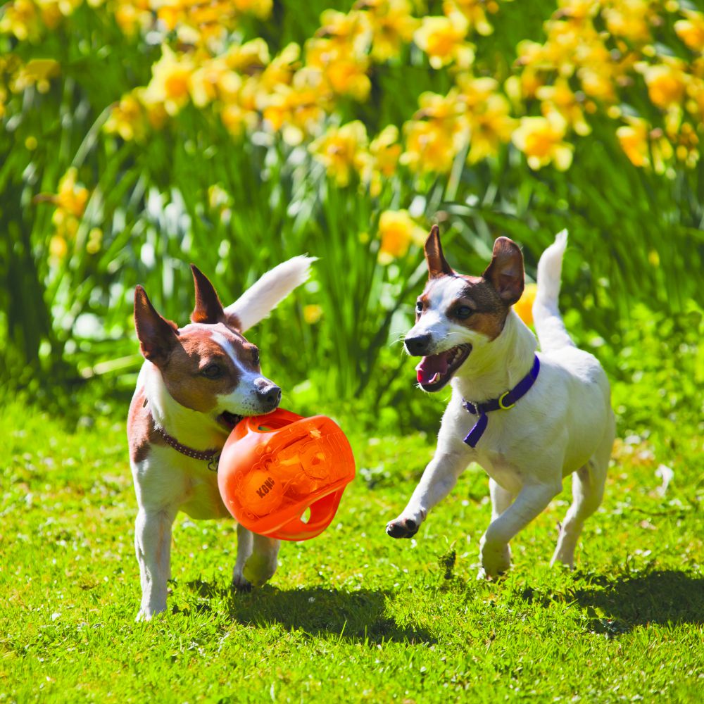 KONG Jumbler Ball - Durable Dog Chew Toy with Sound for Aggressive Chewers - Interactive Play & Training for Large Dogs - Perfect for Fetch, Tug-of-War & Mental Stimulation