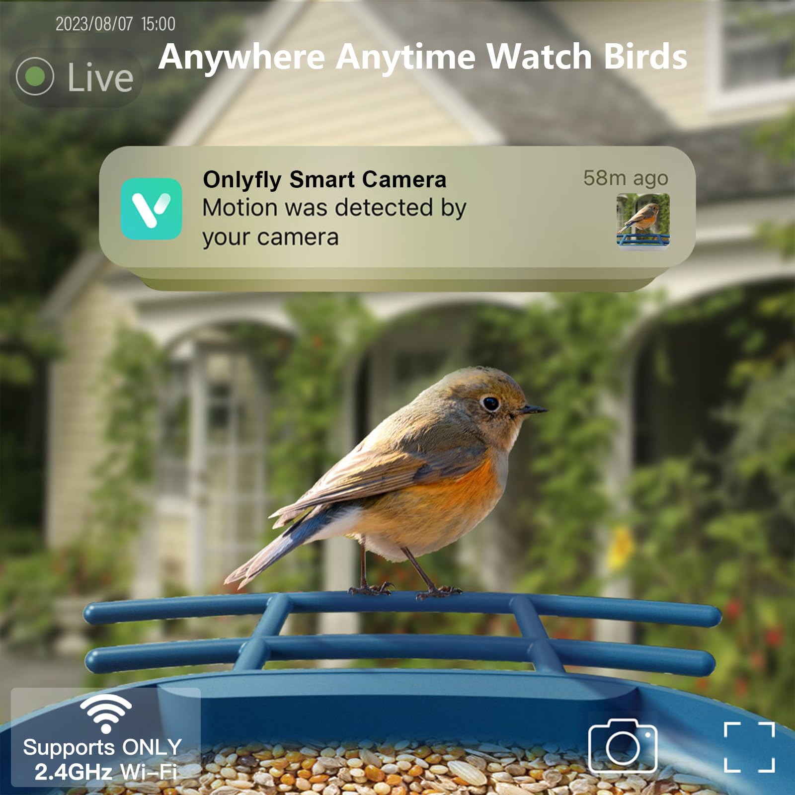 Solar Powered Smart Bird Feeder with 2K Camera - AI Bird Identification, Auto Video Capture, 2.4GHz WiFi, Live Streaming - Perfect Outdoor Backyard Gift for Bird Lovers (Great for Bird Watching & Nature Observation)