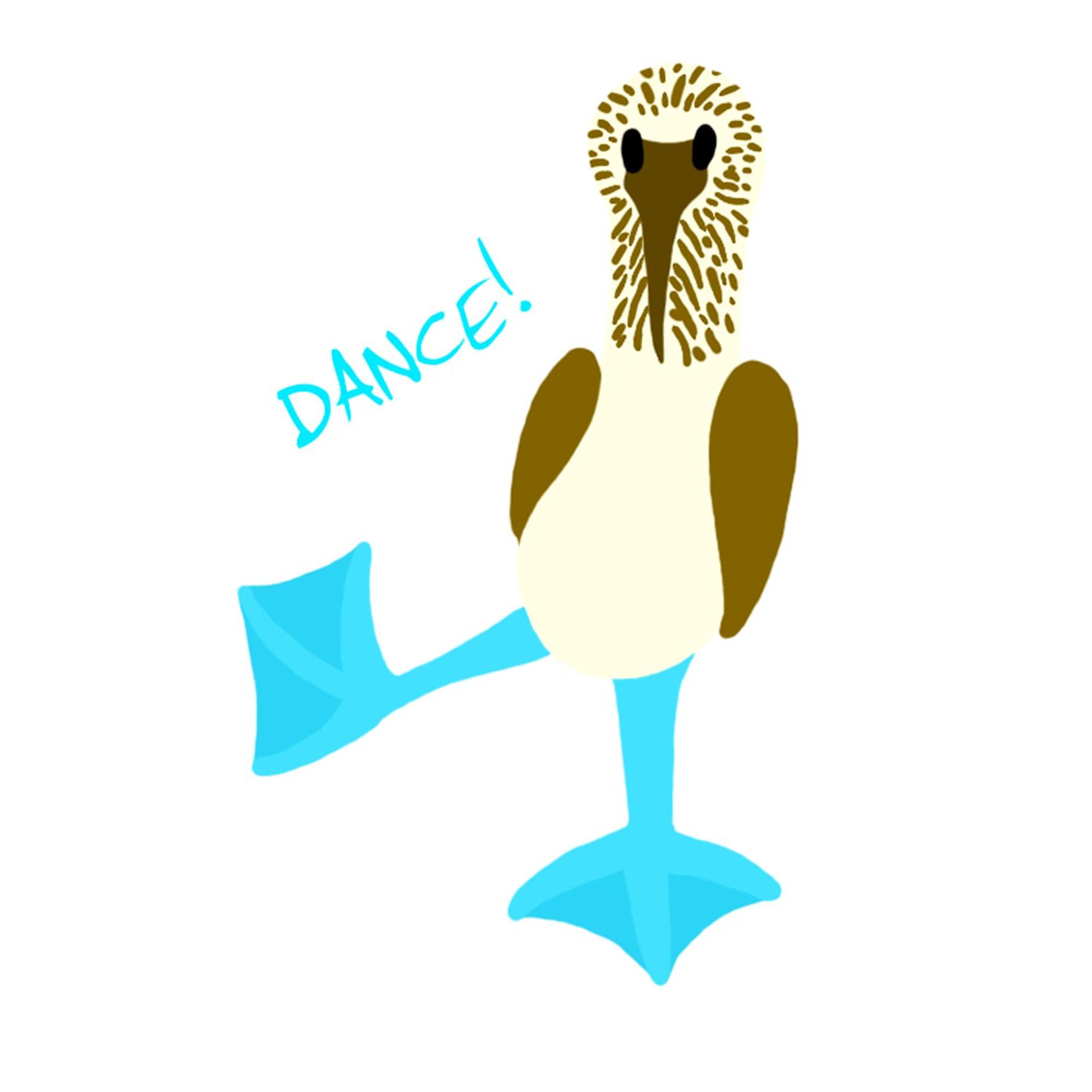 Blue Footed Booby Dance Oval Sticker - Waterproof Vinyl Bumper Decal for Cars, Laptops & Windows - Funny Wildlife Sticker for Outdoor Enthusiasts & Bird Lovers