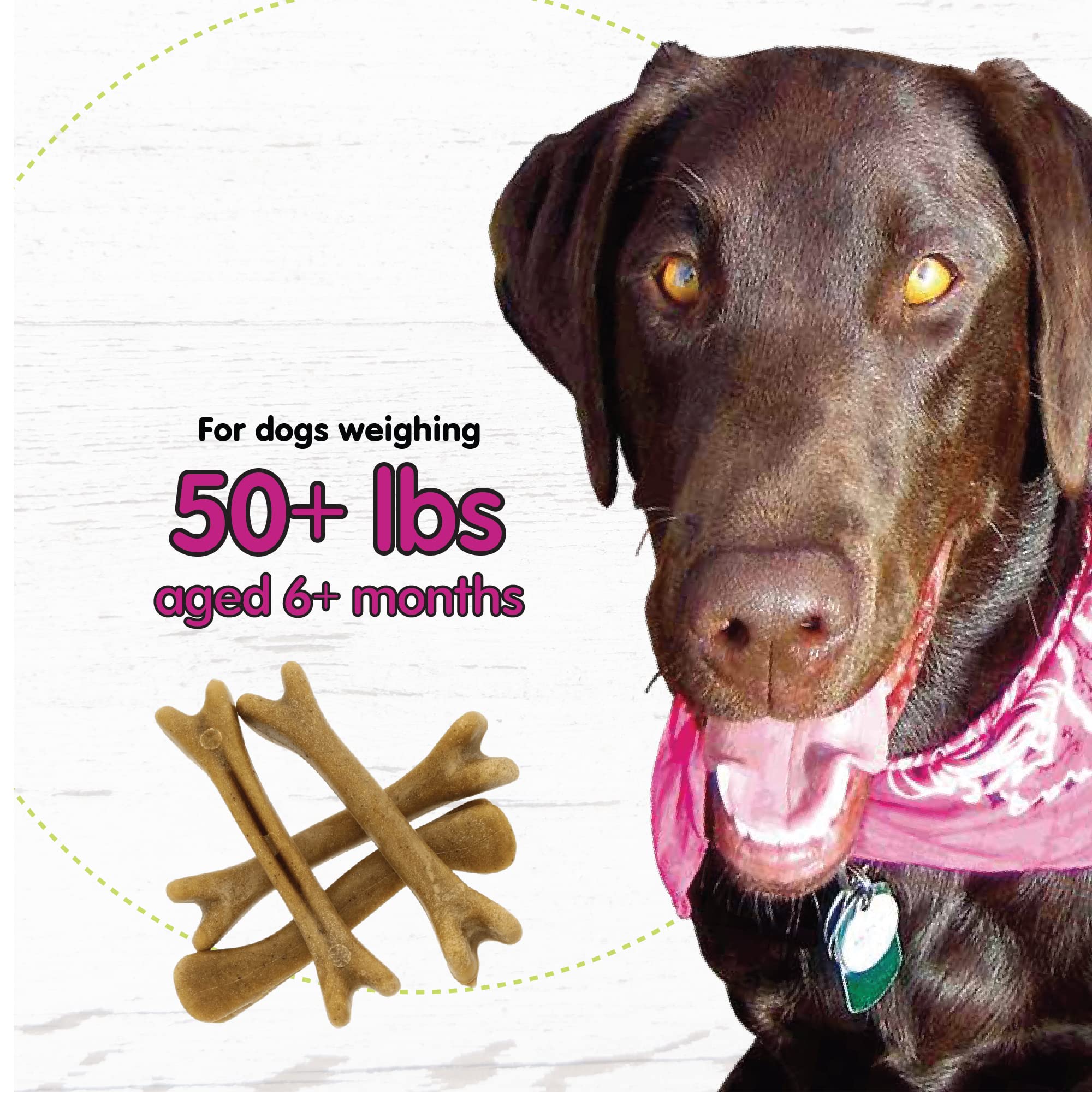 Natural Yogurt-Flavored Belly Bones for Large Dogs - Made in USA, 4 Count Dental Chews for Plaque & Tartar Control, Fresh Breath & Digestive Health - Perfect for Daily Oral Care & Training Rewards