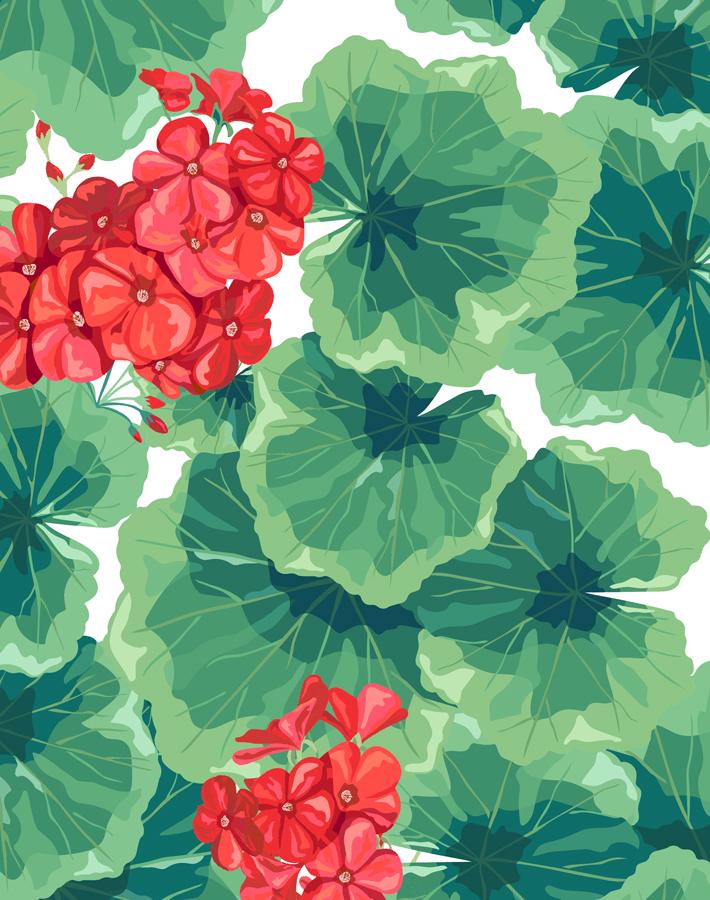 Nathan Turner Geranium Wallpaper - Red Floral Peel & Stick Wallpaper for Living Room, Bedroom, and Home Decor