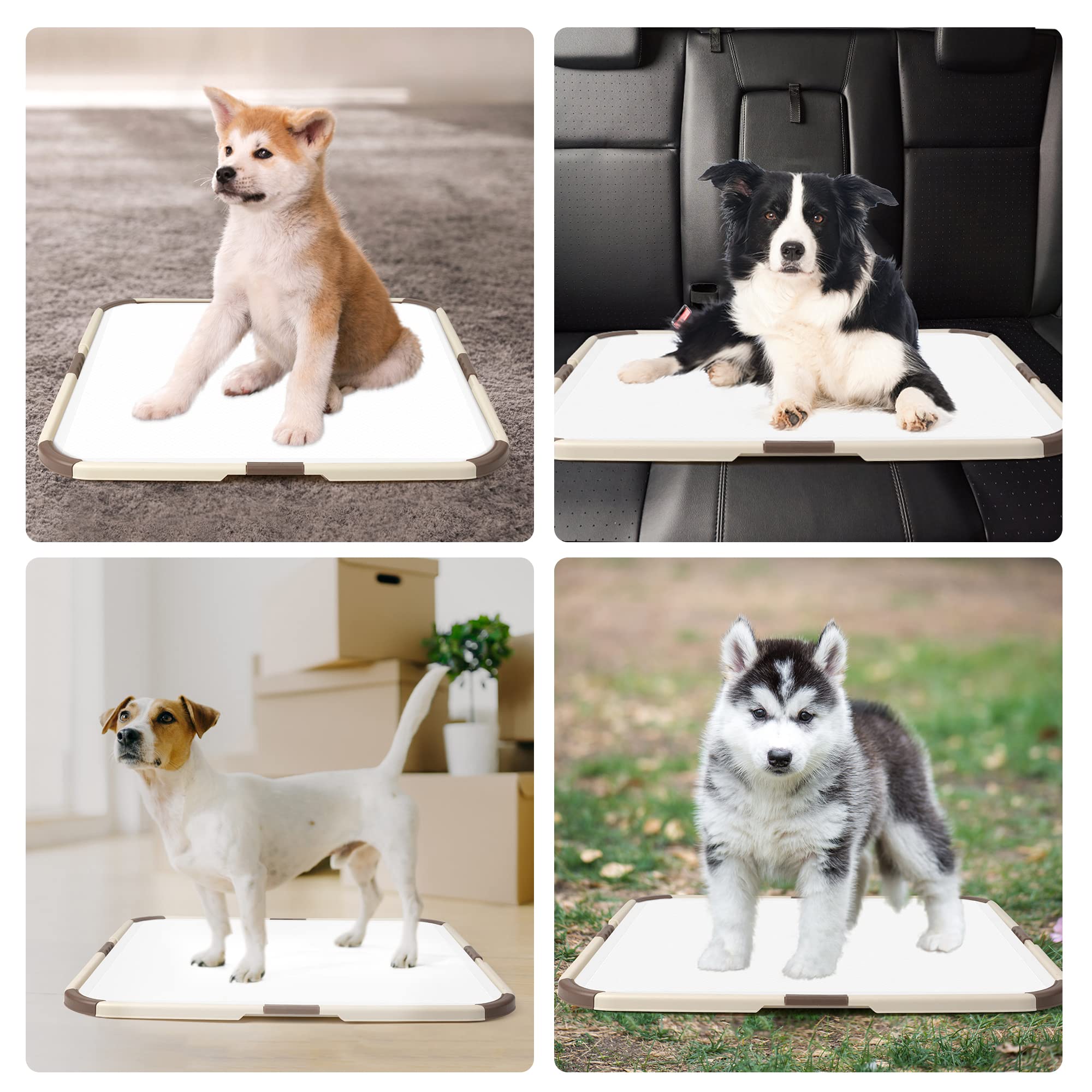 Premium Puppy Pad Holder - Leak-Proof Portable Pet Training Tray for Dogs & Puppies | Holds 53x53cm or Larger Pee Pads | Ideal for Housebreaking, Crate Training & Travel Use
