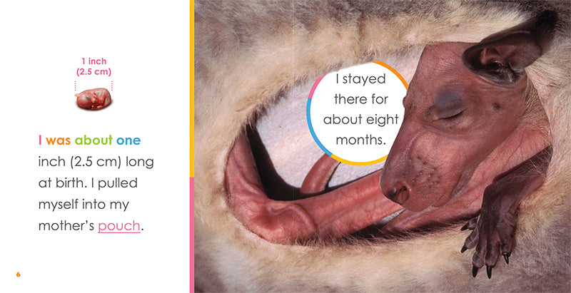 Baby Kangaroos Book - ISBN 978-1-64026-249-2 | Children's Animal Picture Book for Early Learning & Bedtime Stories