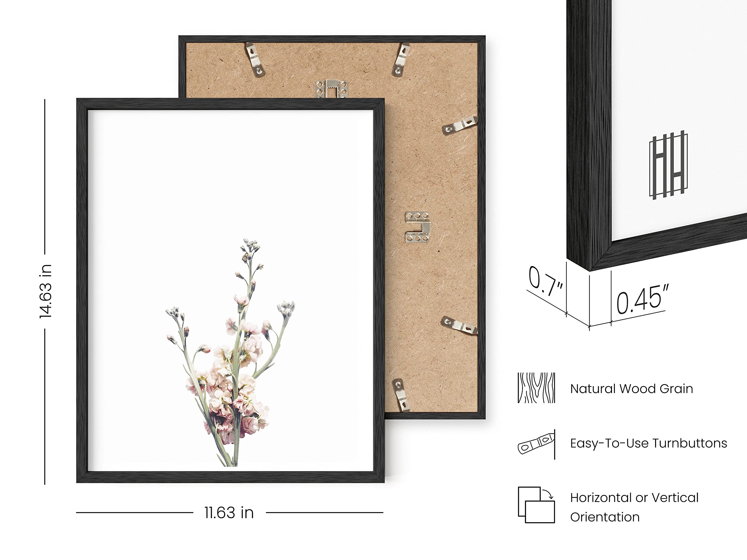 HAUS AND HUES Set of 6 Floral & Botanical Prints - 11x14 Black Framed Wall Art | Wildflower Posters, Plant Decor for Living Room, Bedroom & Office