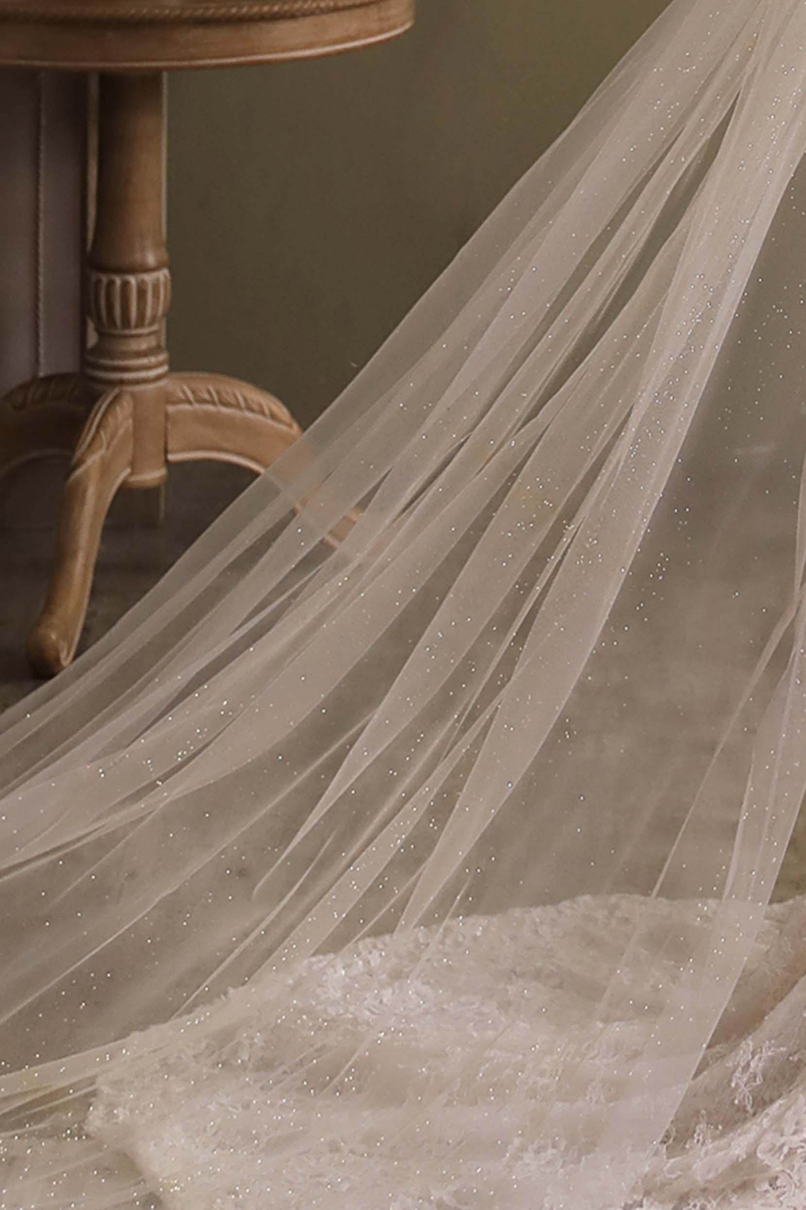 Elegant One-Tier Cut Edge Tulle Cathedral Wedding Veil CV0296 - Perfect for Bridal Ceremonies, Photos & Special Occasions