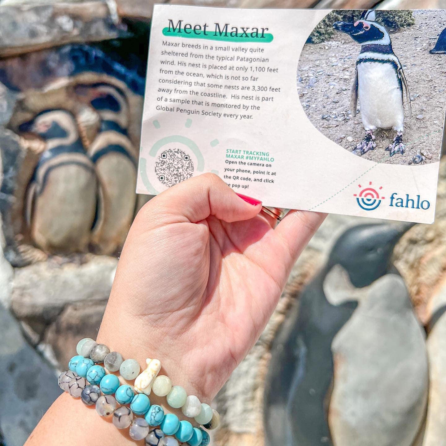 Fahlo Pink Edition Bundle - Adjustable Elastic Tracking Bracelet for Men & Women | Perfect for Ocean Conservation, Animal Tracking & Outdoor Adventures