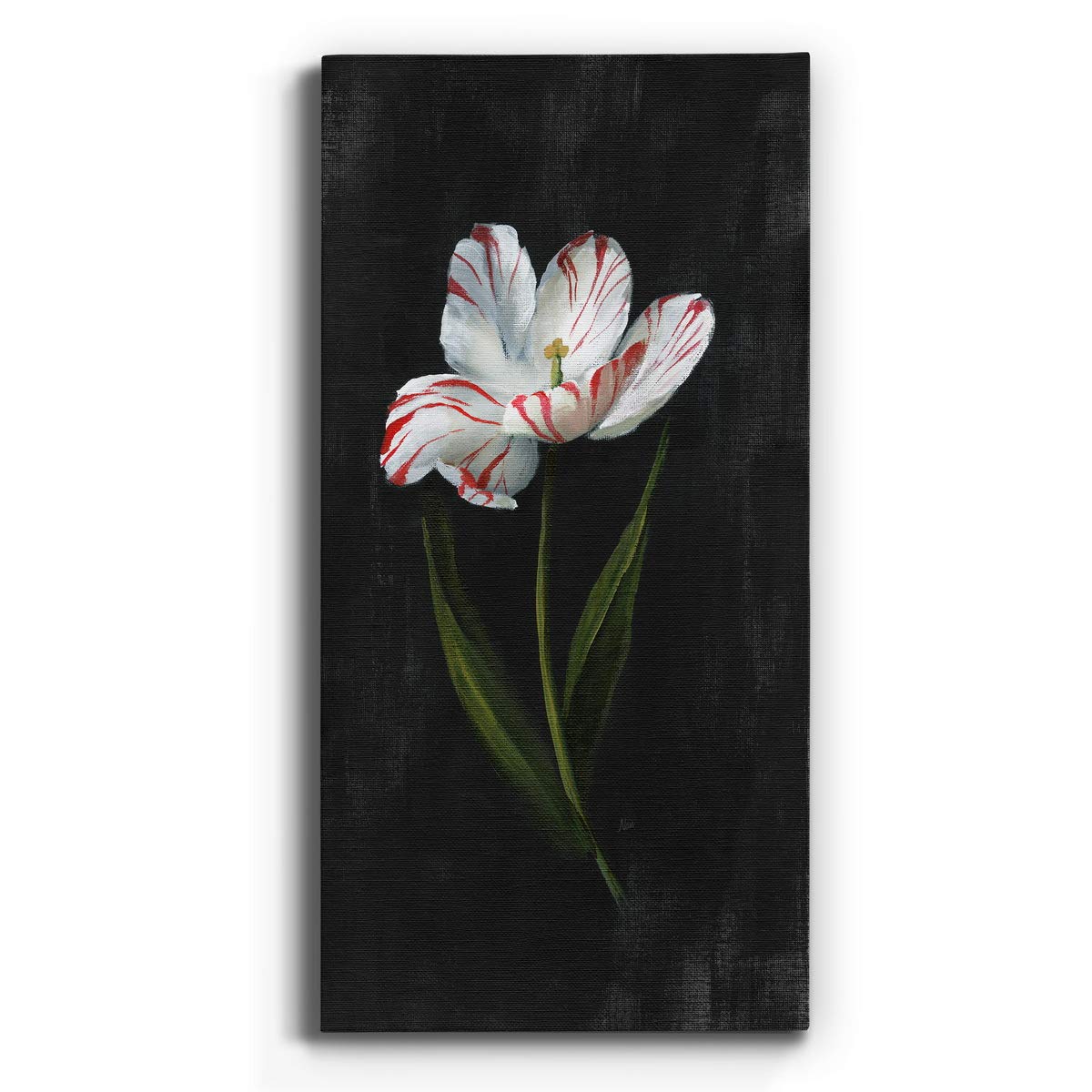 White Floral Canvas Wall Art - 8