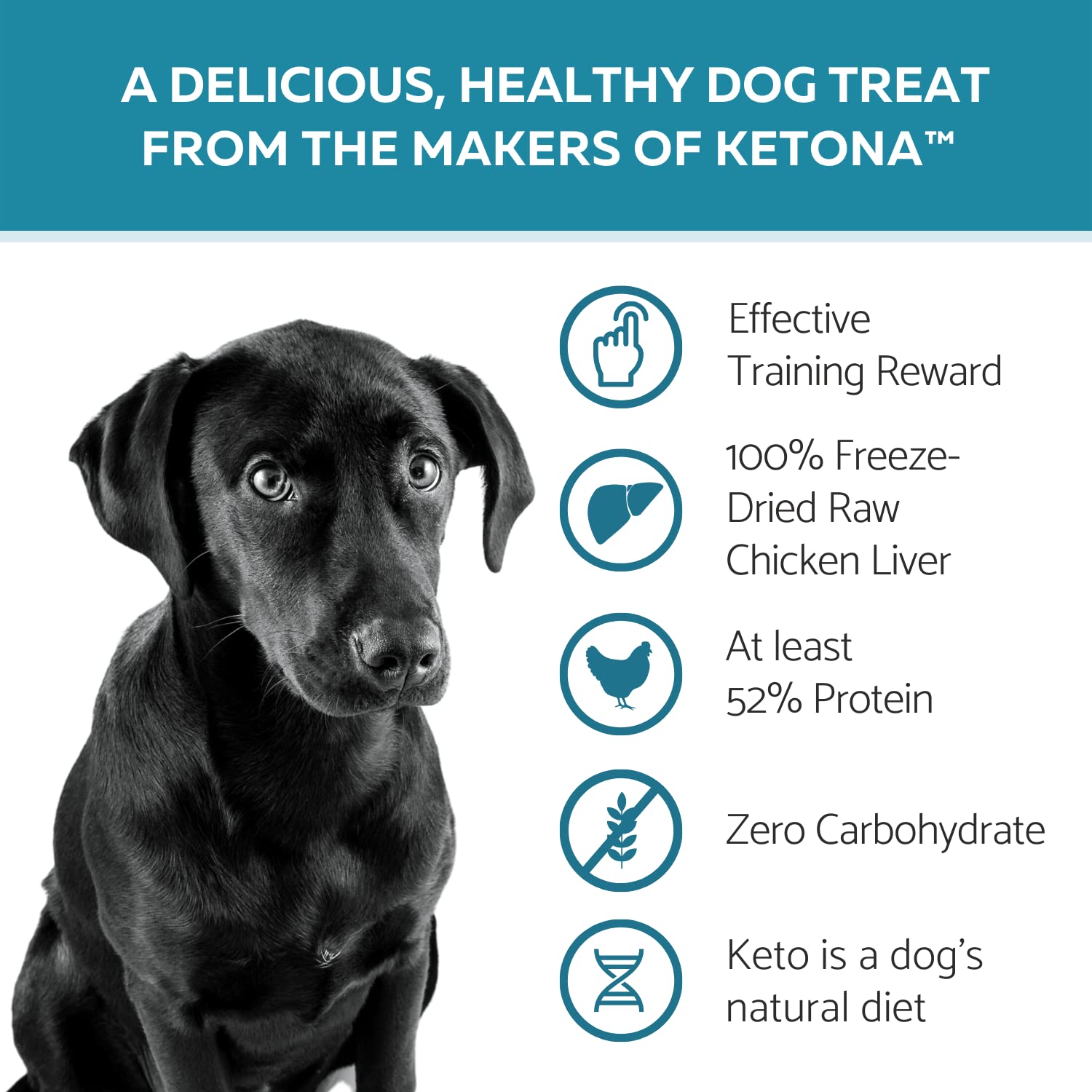 Ketona Salmon Recipe Dry Dog Food (24.2lb) & Chicken Liver Dog Treats Bundle - High Protein Low Carb Dog Food for Weight Management - Raw Diet Nutrition with Kibble Convenience - Perfect for Adult Dogs & Puppies with Sensitive Stomachs
