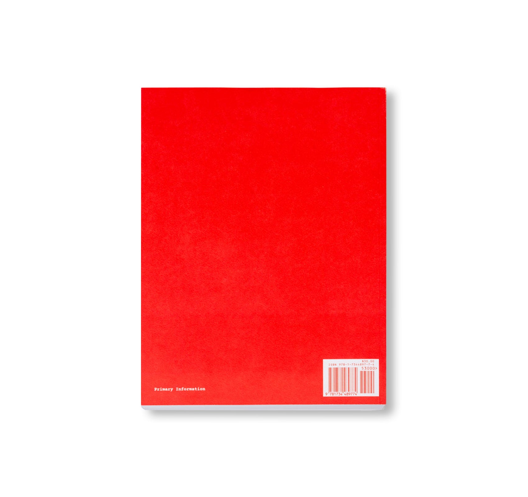 Dara Birnbaum: Notes on Working Processes Addressing Contemporary Concerns - Art Exhibition Catalog & Critical Analysis for Modern Art Collectors