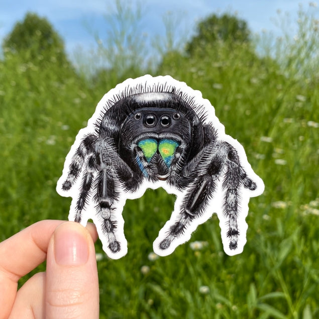 Bold Jumping Spider Vinyl Sticker - Waterproof Decal for Laptops, Cars & DIY Crafts - Perfect for Arachnid Lovers & Nature Enthusiasts