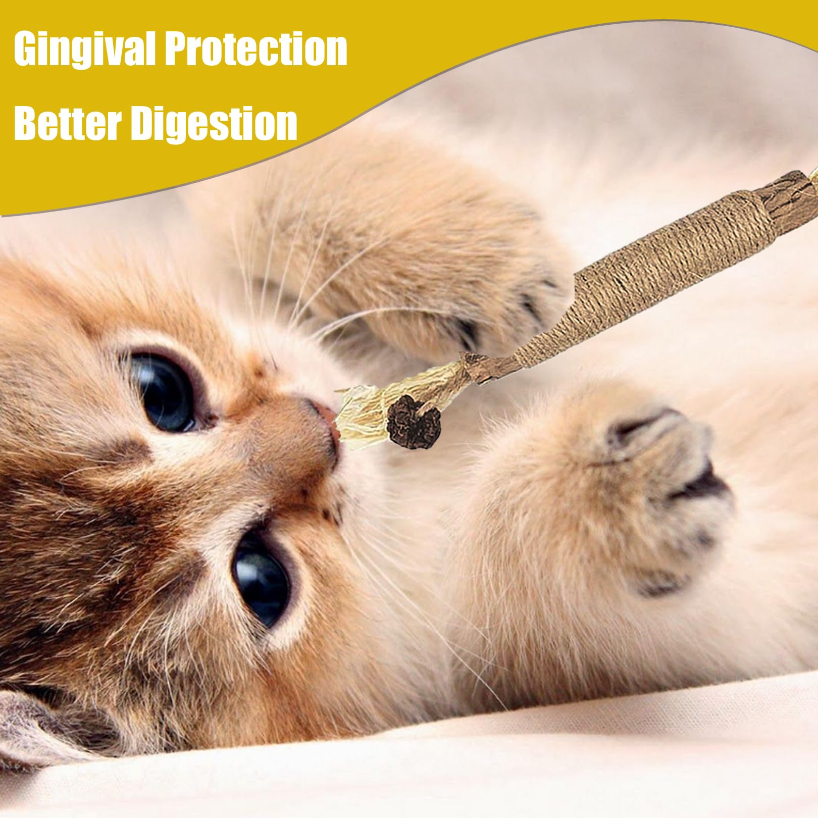 6 Pack Natural Silvervine Sticks for Kittens - Cat Teething Toys, Dental Chew Sticks for Teeth Cleaning, Catnip Chew Toys for Indoor Cats - Helps with Teething, Stress Relief & Oral Health (Great for Kittens & Adult Cats)