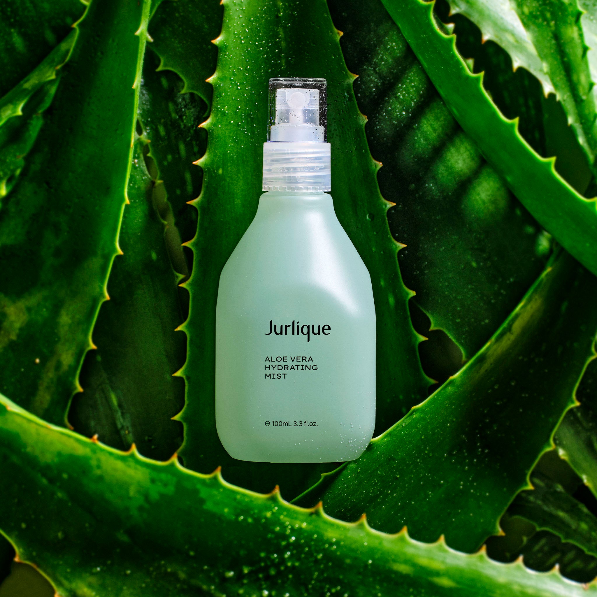 Aloe Vera Hydrating Face Mist Spray - Soothing & Moisturizing Facial Toner for Dry Skin - Perfect for Travel, Gym & Daily Skincare Routine