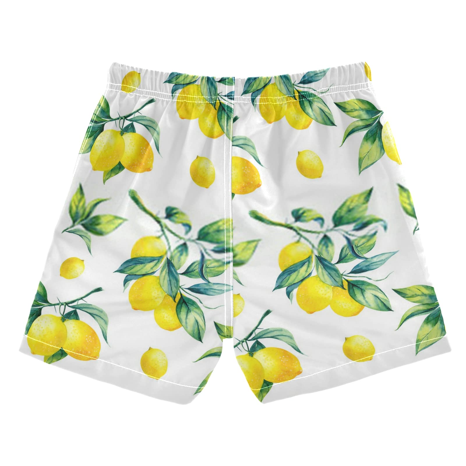 **Boys Swim Trunks for Kids 2-14 Years - Quick Dry Swim Shorts for Beach, Pool & Hawaii Vacation - Toddler to Teen Swimwear with UPF Protection**    *(Perfect for Swimming Lessons, Summer Vacations & Water Play)*