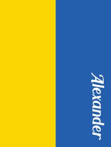 Ukraine Flag