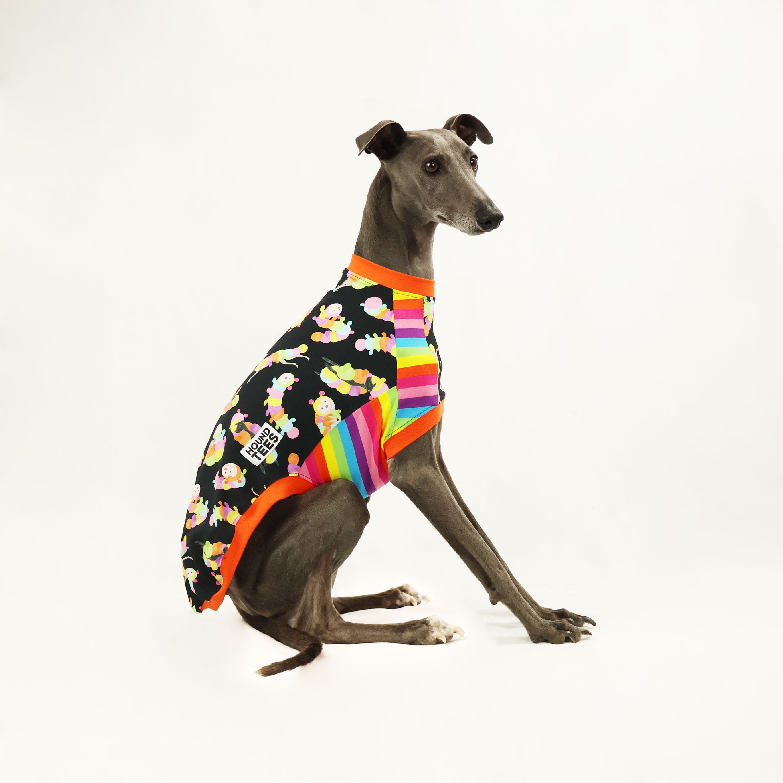 Whippet Sleeveless Hound T-Shirt - Cuddlepillar Pet Apparel for Active Dogs | Perfect for Outdoor Adventures & Playtime