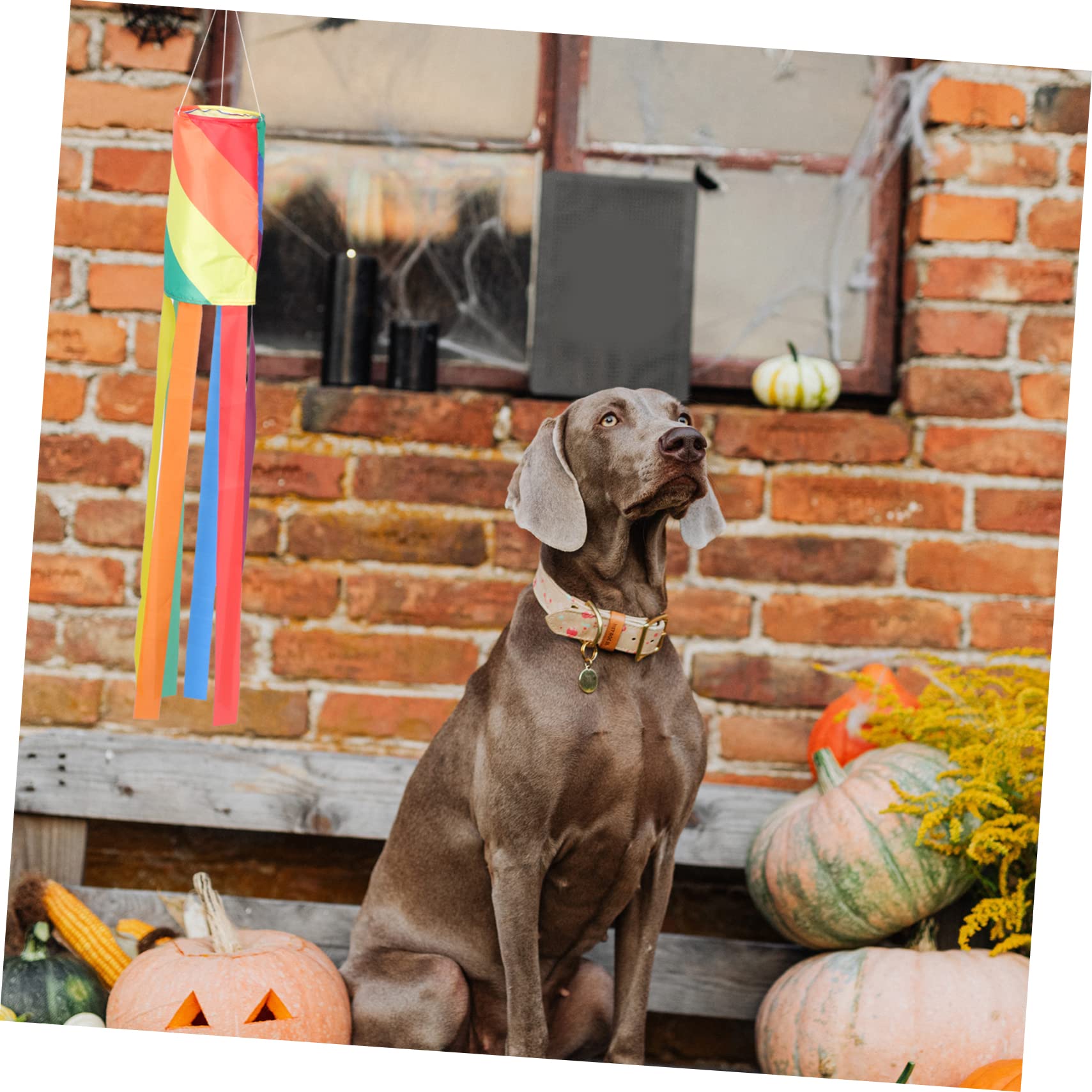 Rainbow Windshield Flag - IWOWHERO Outdoor Decorative Windsock for Yard, Garden & Car - Vibrant Seasonal Decor for Parties, Parades & Festivals