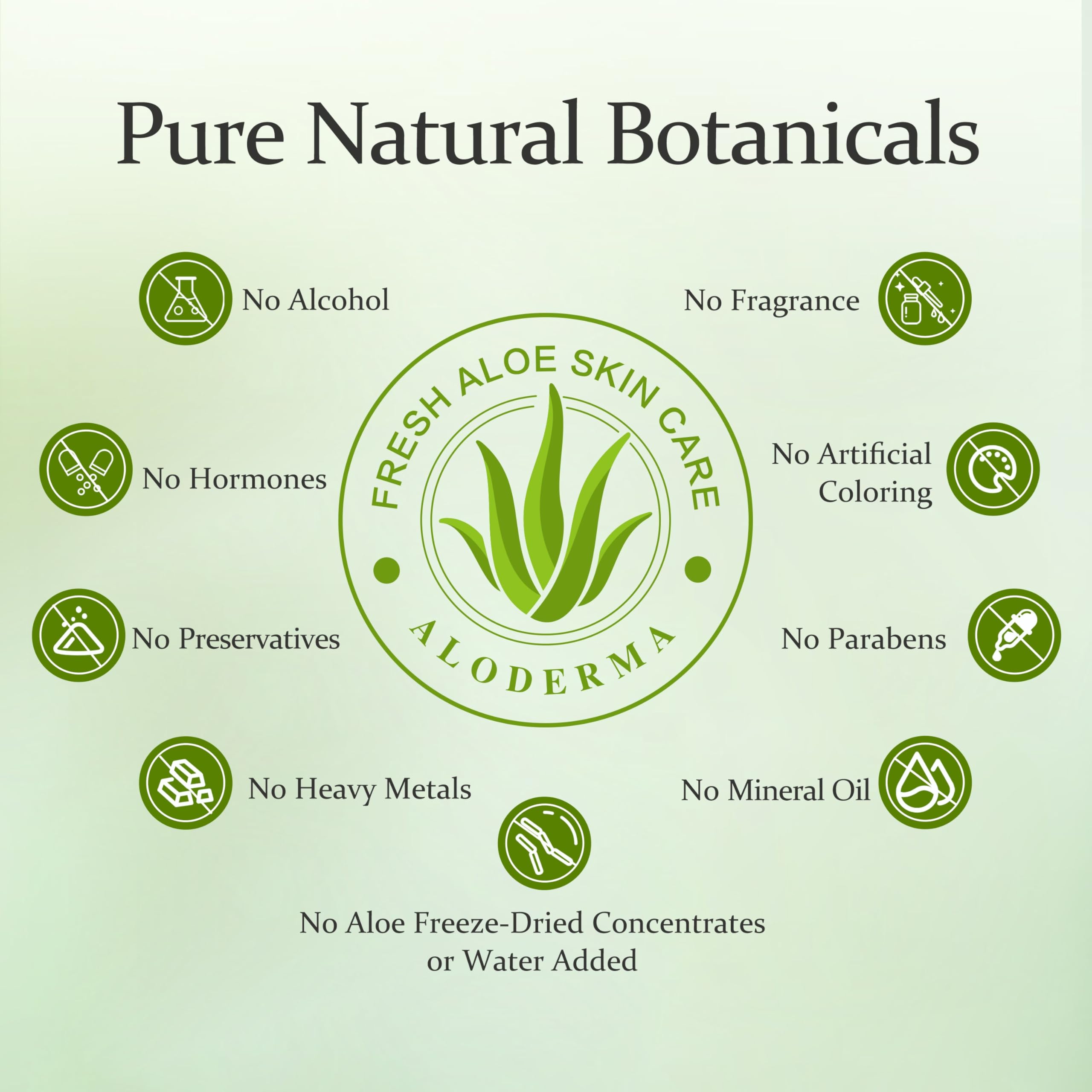 Aloderma Organic Aloe Vera Gel with Tea Tree Oil - Freshly Harvested Within 12 Hours, Soothing Pure Aloe Gel for Face, Scalp & Aftershave Care - All Natural Skin Moisturizer (300ml x 6 Bottles) - Perfect for Sunburn Relief, Daily Skincare & Hair Hydration