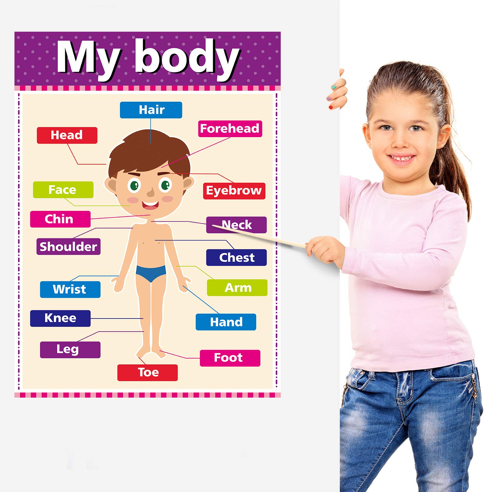 Educational Posters for Preschool & Kindergarten - 12-Piece Set of Large Durable Learning Posters for Toddlers, Elementary Students & Homeschooling - Perfect for Classroom Decor, Homeschool Walls & Kids' Study Areas