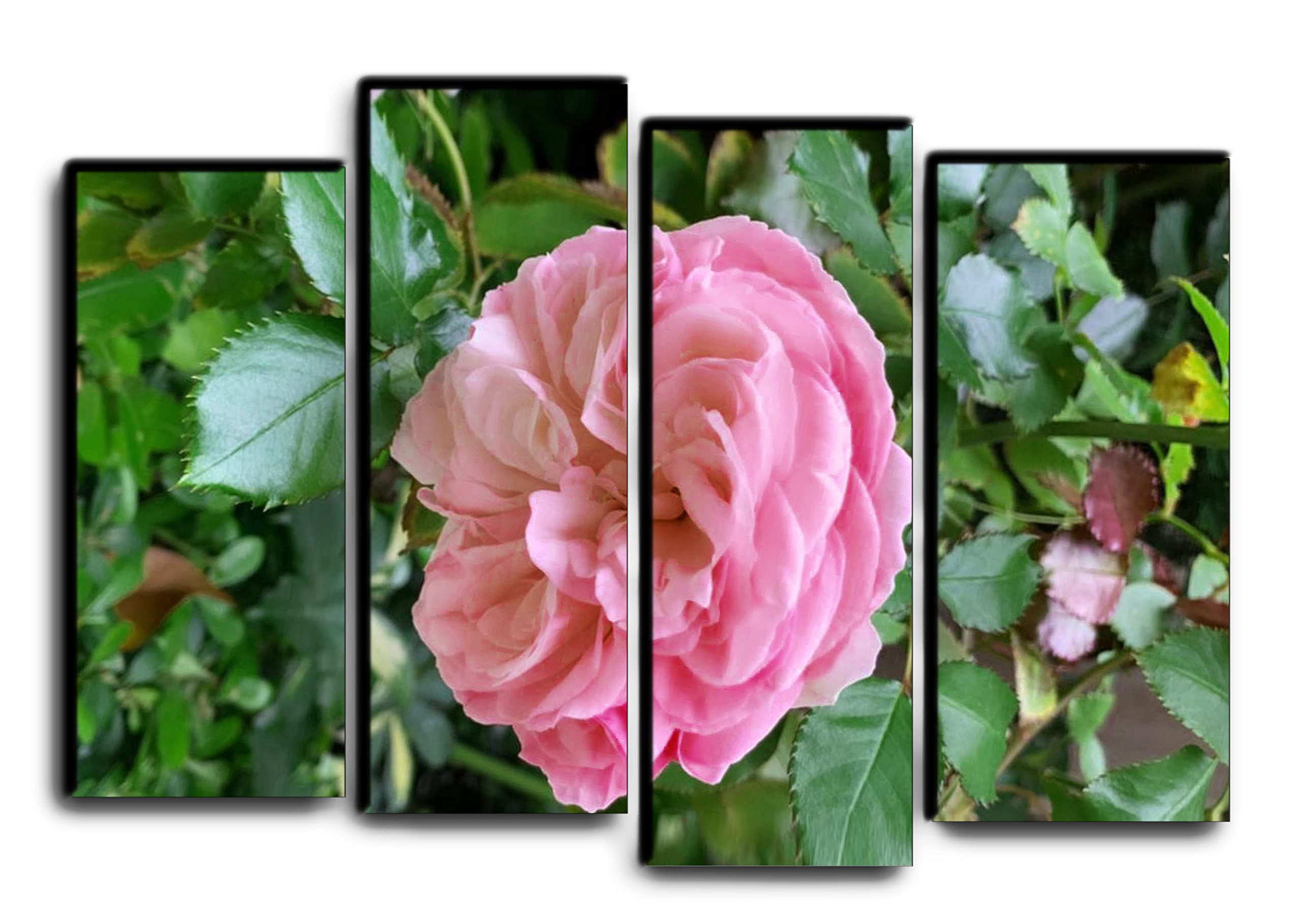 4-Piece Pink Rose Floral Canvas Wall Art Set - Morning Flowers Painting Poster Print for Living Room Decor (32x44 Inches) - Perfect for Home, Bedroom & Office Wall Decoration